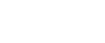 Logo V2 White