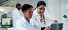 Rapport d'évaluation des vignettes de sites web 488x220